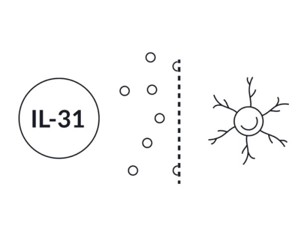 Nemluvio blocks IL-31 signaling